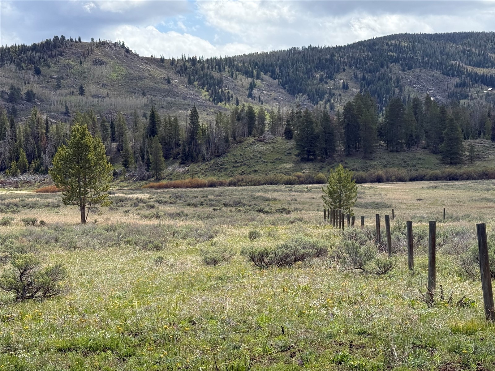 20860 Hoch Eye Way Oak Creek CO 80467