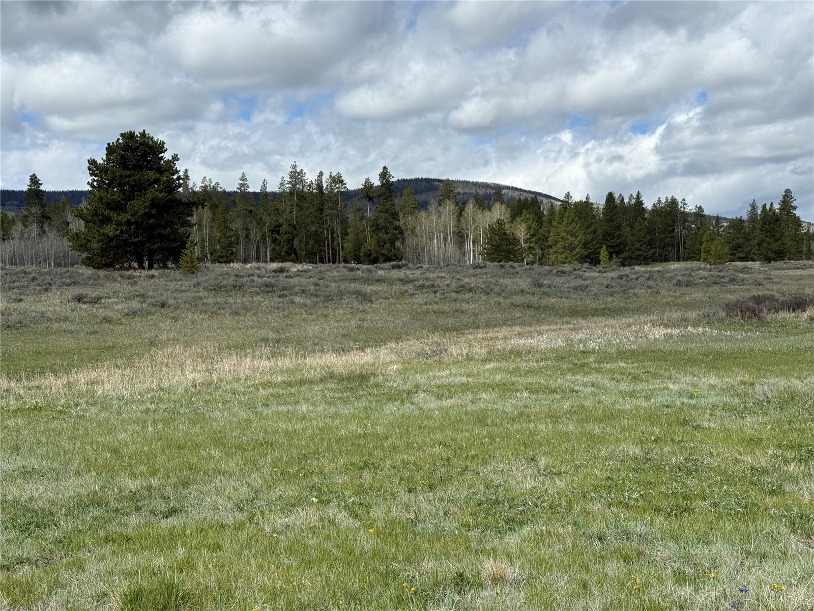 20860 Hoch Eye Way Oak Creek CO 80467