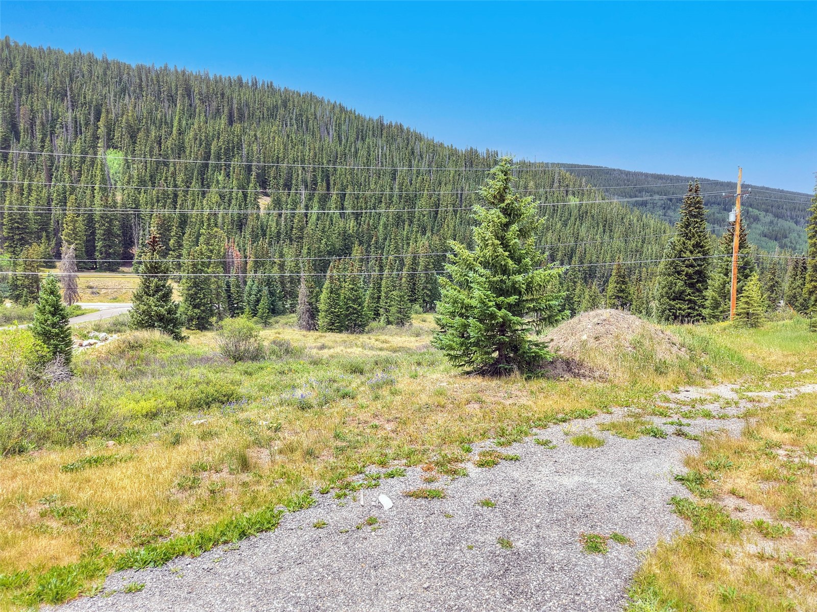 67 Quandary Road Breckenridge CO 80424