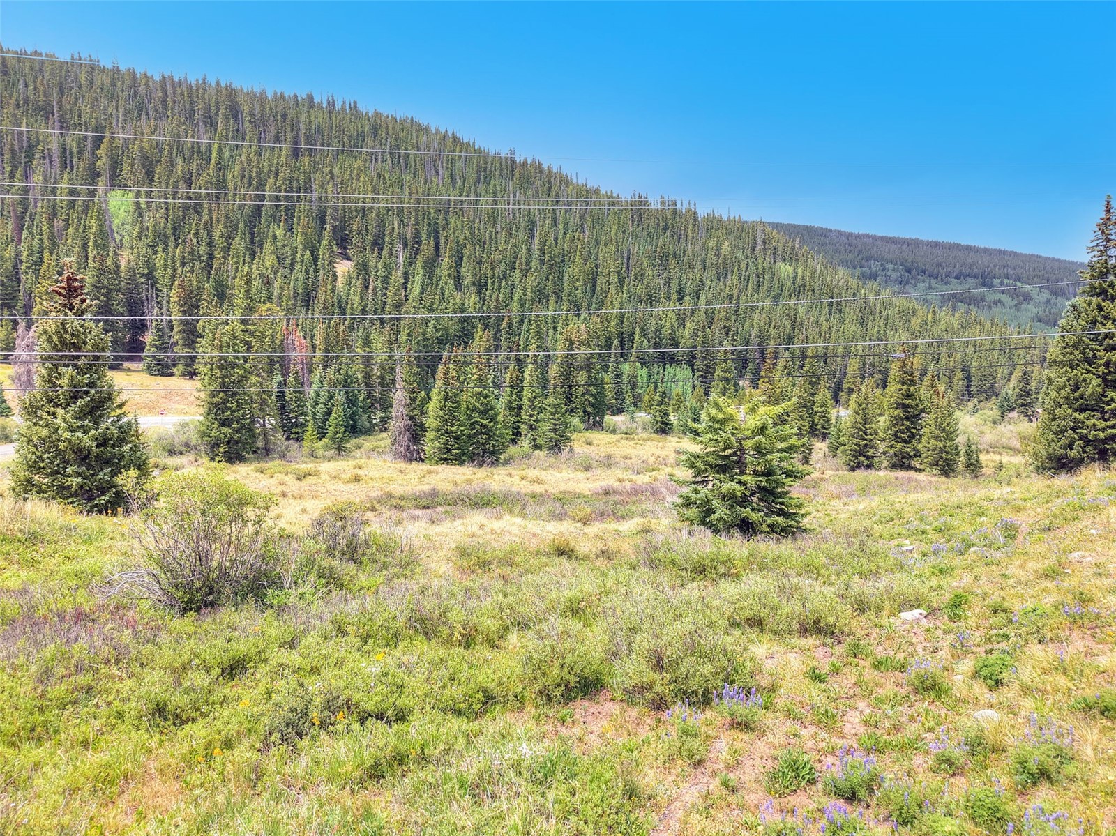 67 Quandary Road Breckenridge CO 80424