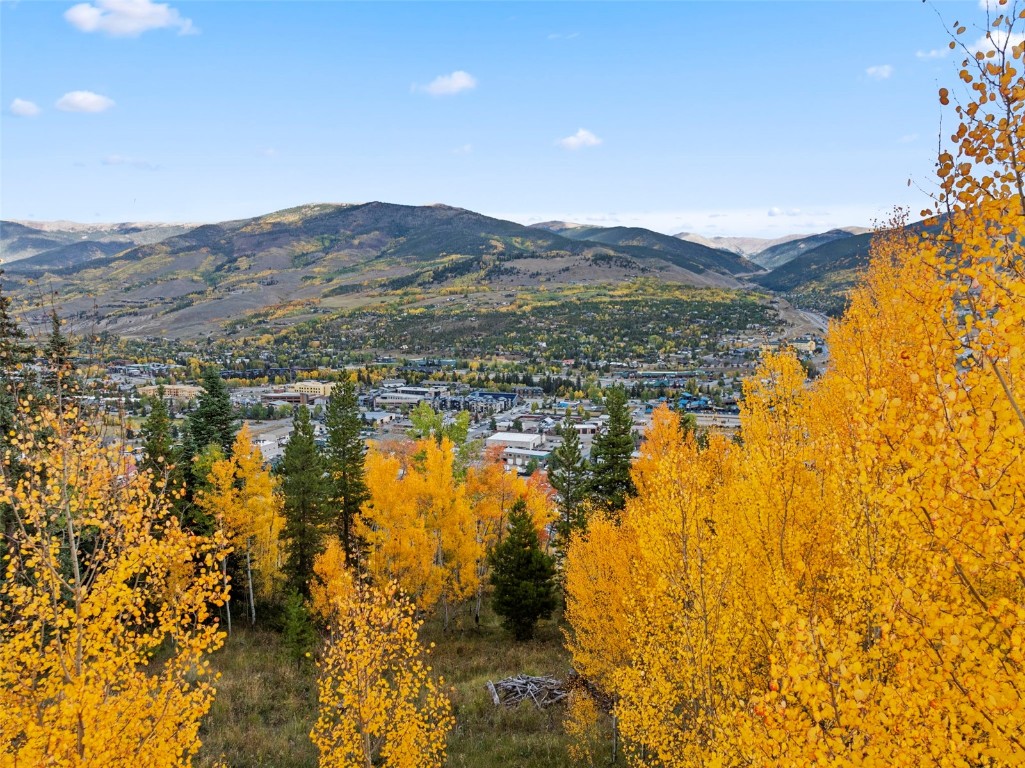 412 Lakeview Drive Silverthorne CO 80498