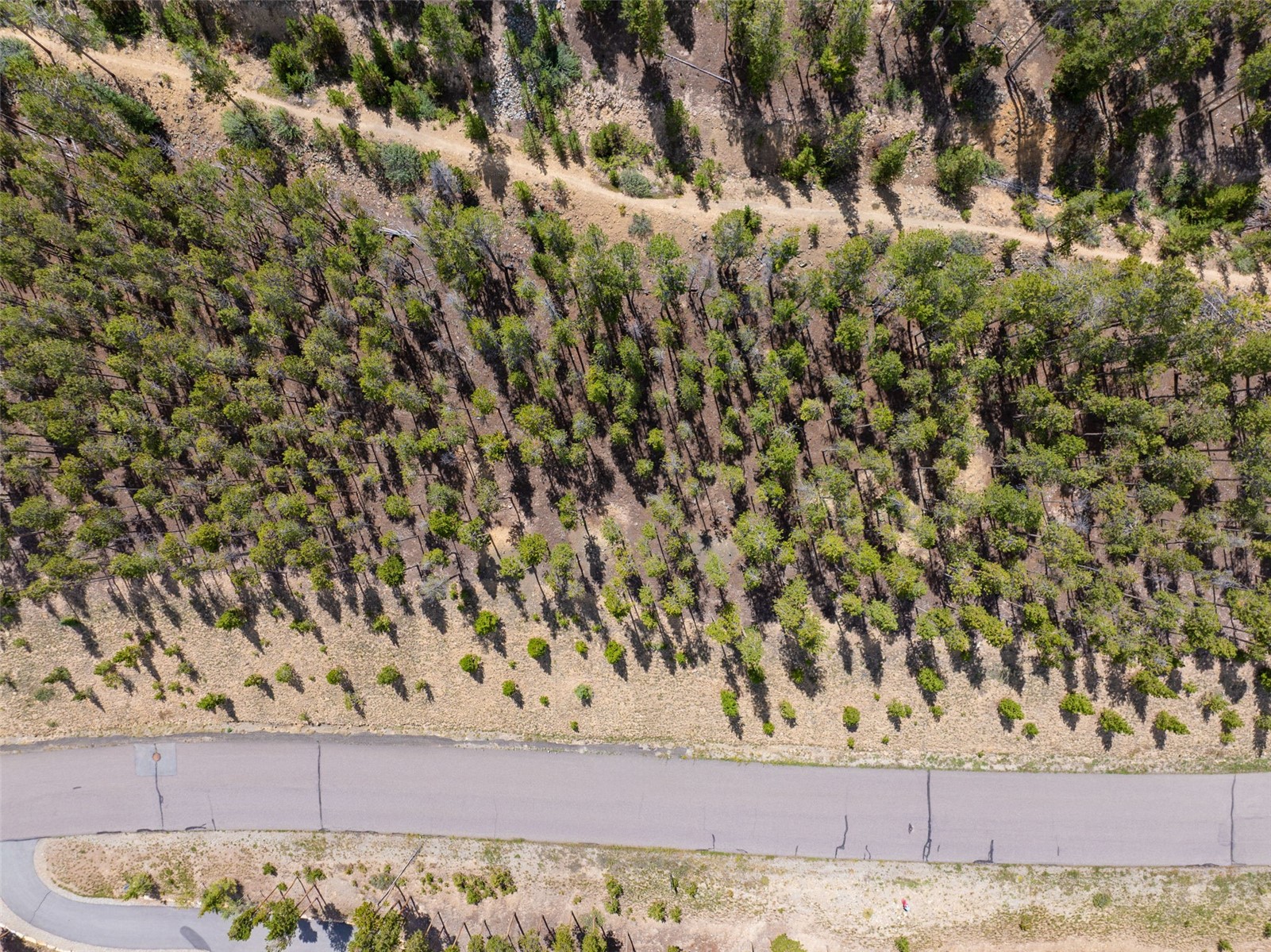 705 Discovery Hill Drive Breckenridge CO 80424