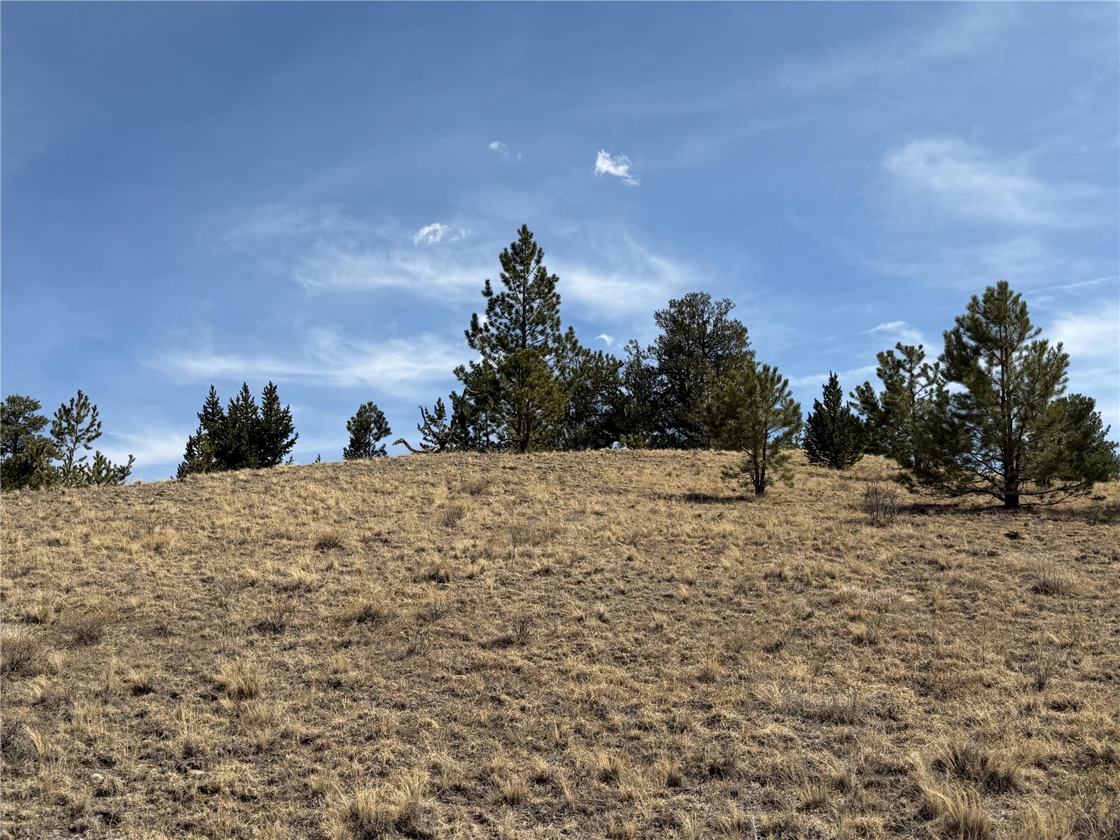 2839 Fitzsimmons Road Hartsel CO 80449