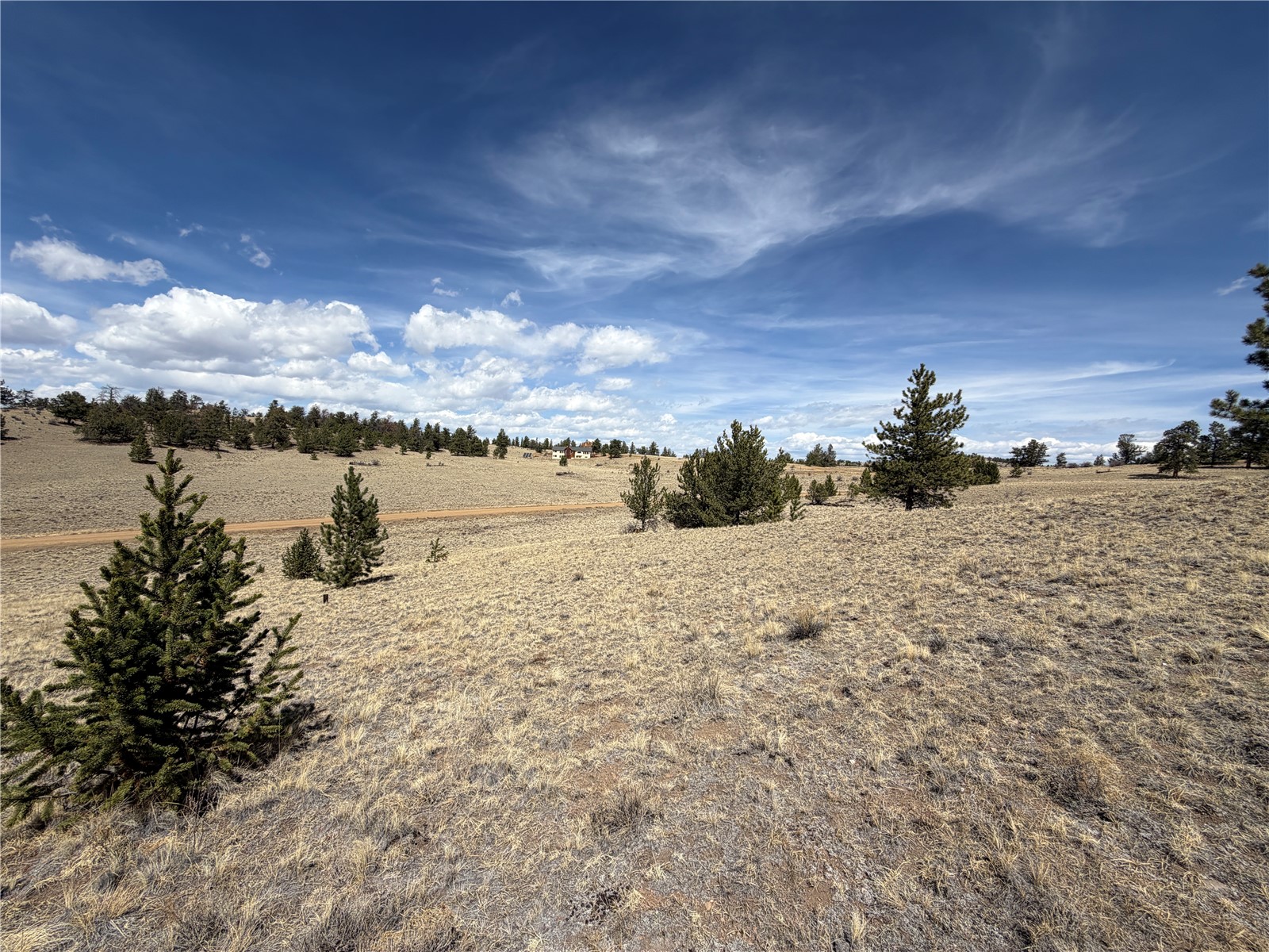 2839 Fitzsimmons Road Hartsel CO 80449