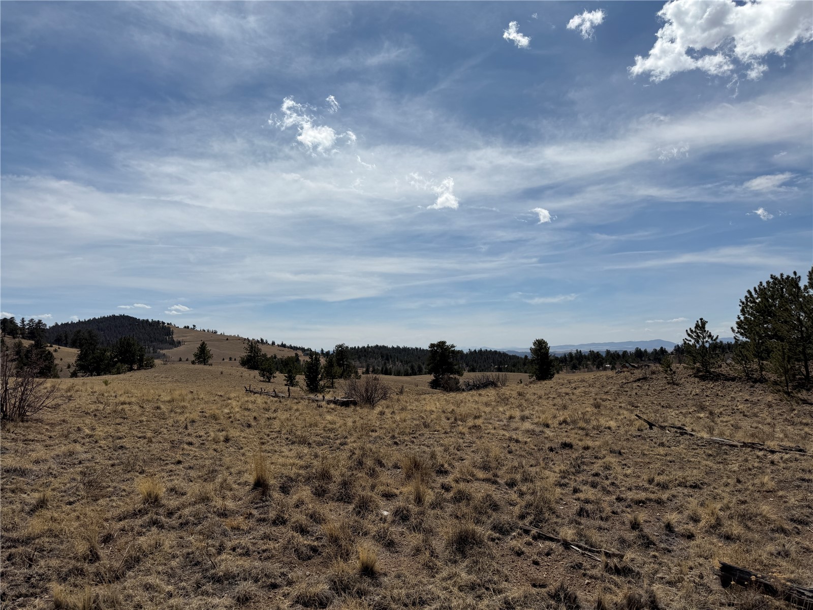 2839 Fitzsimmons Road Hartsel CO 80449