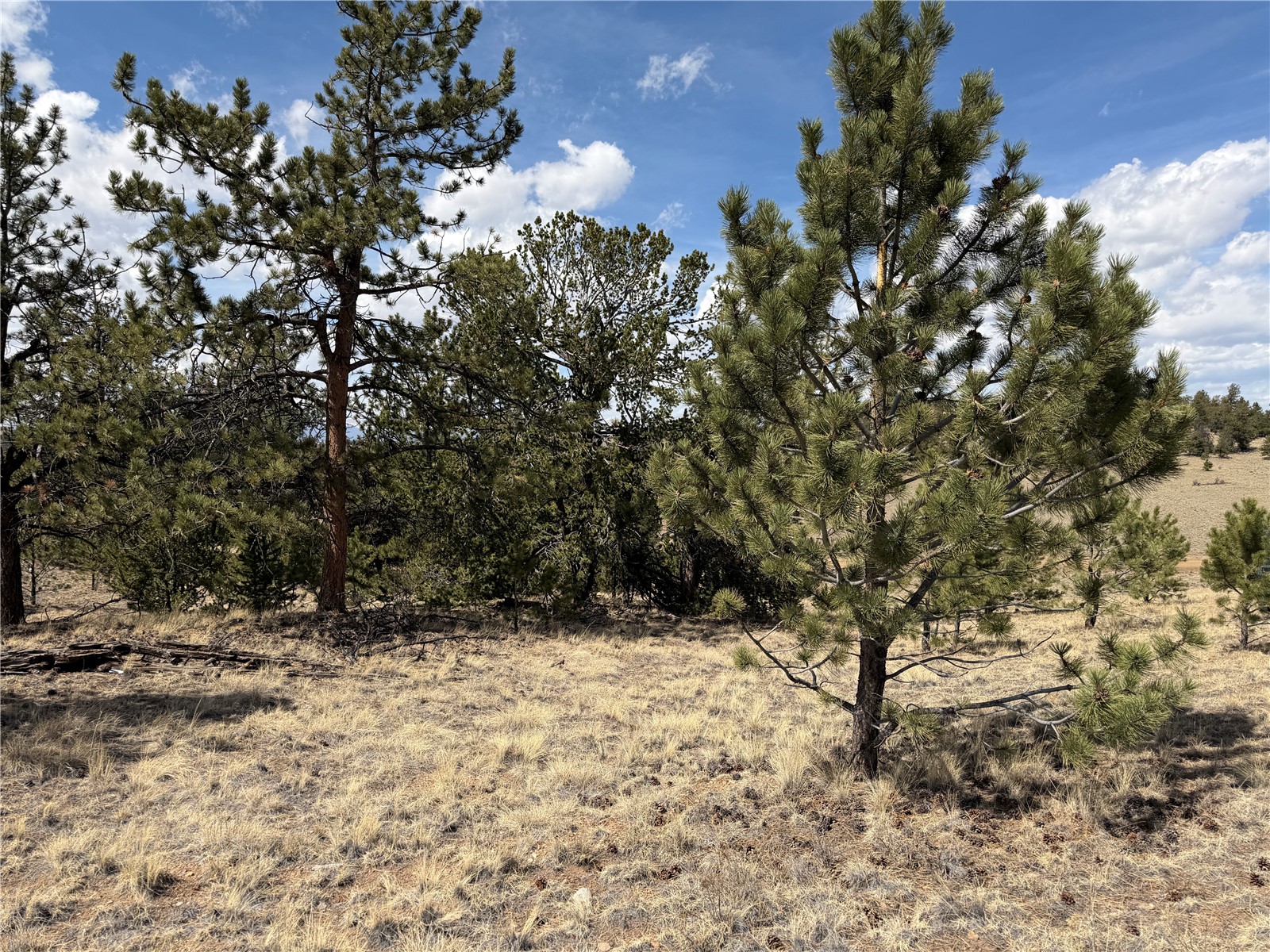 2839 Fitzsimmons Road Hartsel CO 80449