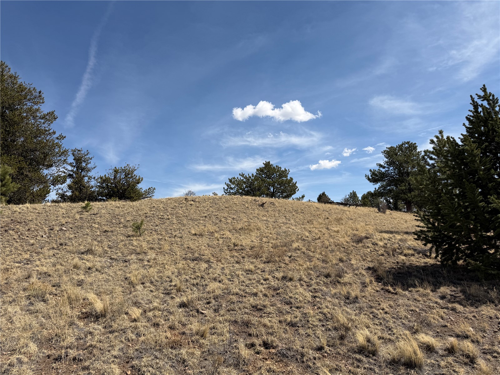 2839 Fitzsimmons Road Hartsel CO 80449