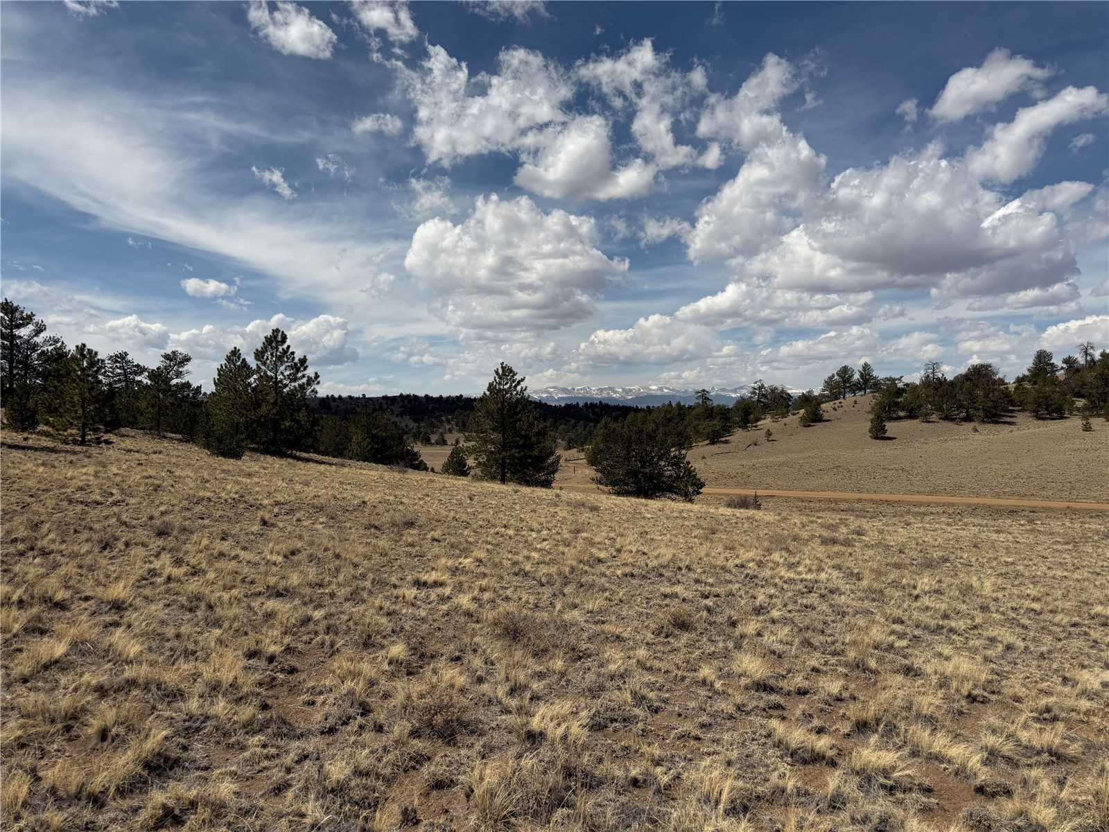 2839 Fitzsimmons Road Hartsel CO 80449