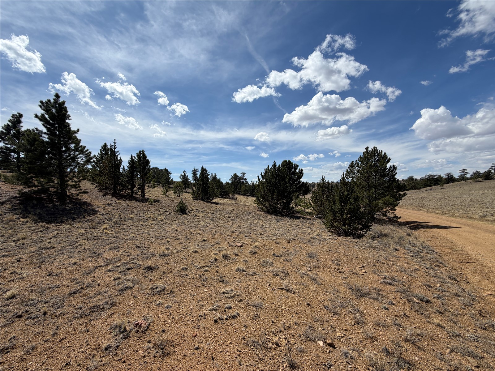 2839 Fitzsimmons Road Hartsel CO 80449