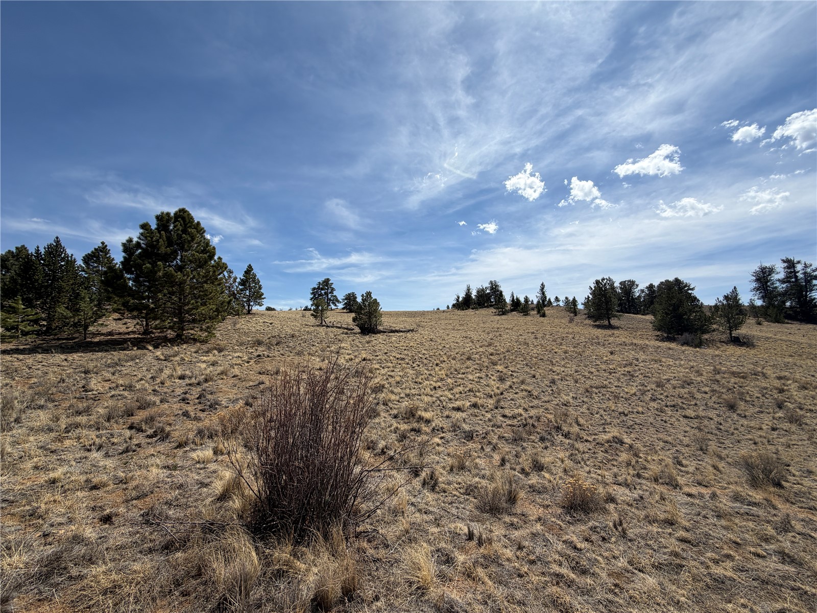 2839 Fitzsimmons Road Hartsel CO 80449