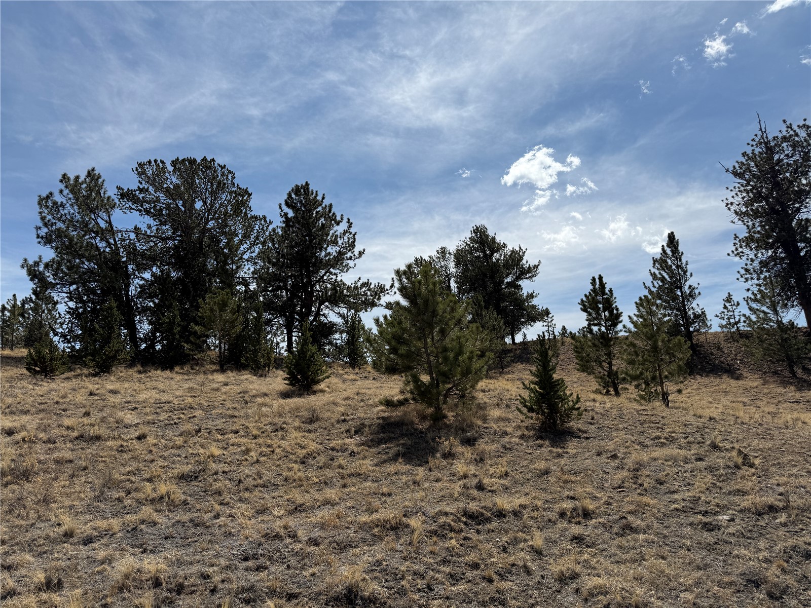 2839 Fitzsimmons Road Hartsel CO 80449
