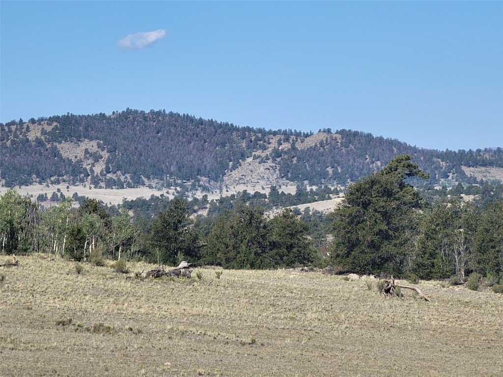 452 Grand Teton Drive Hartsel CO 80449