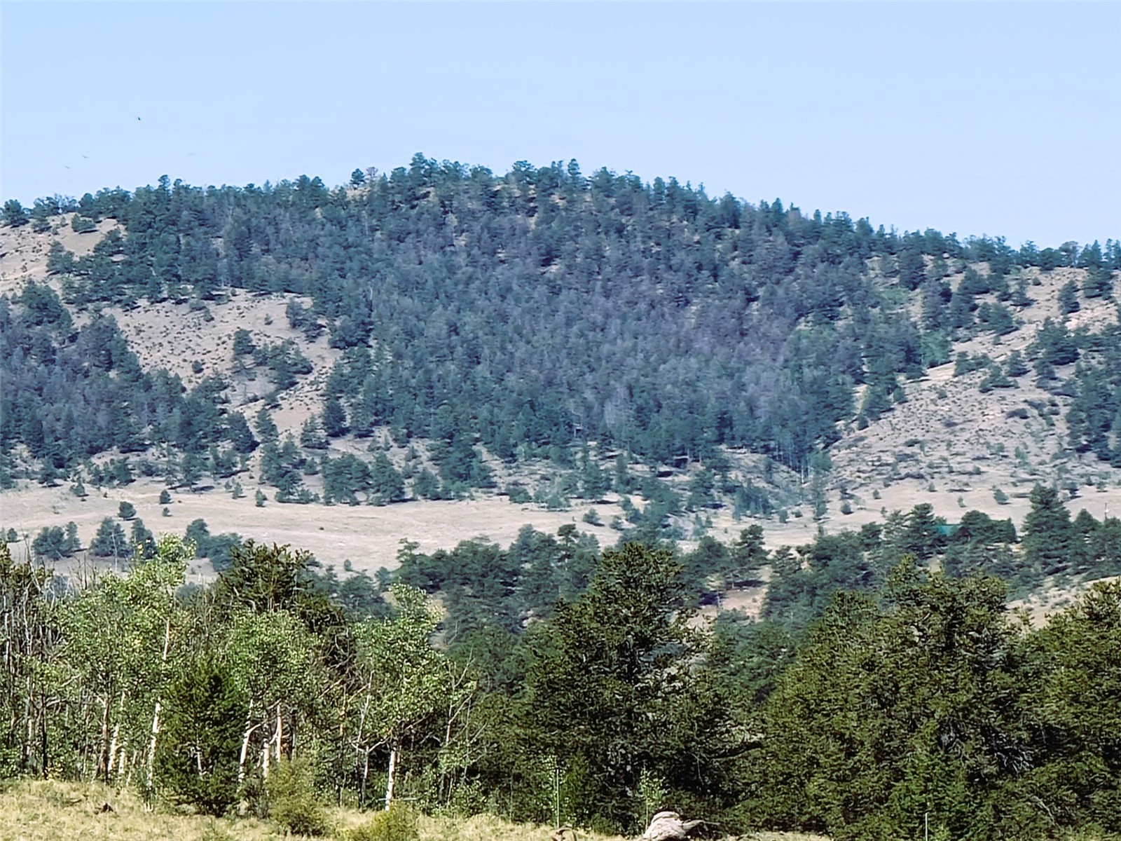 452 Grand Teton Drive Hartsel CO 80449