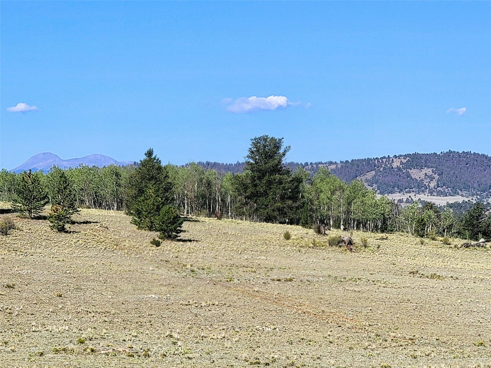 452 Grand Teton Drive Hartsel CO 80449