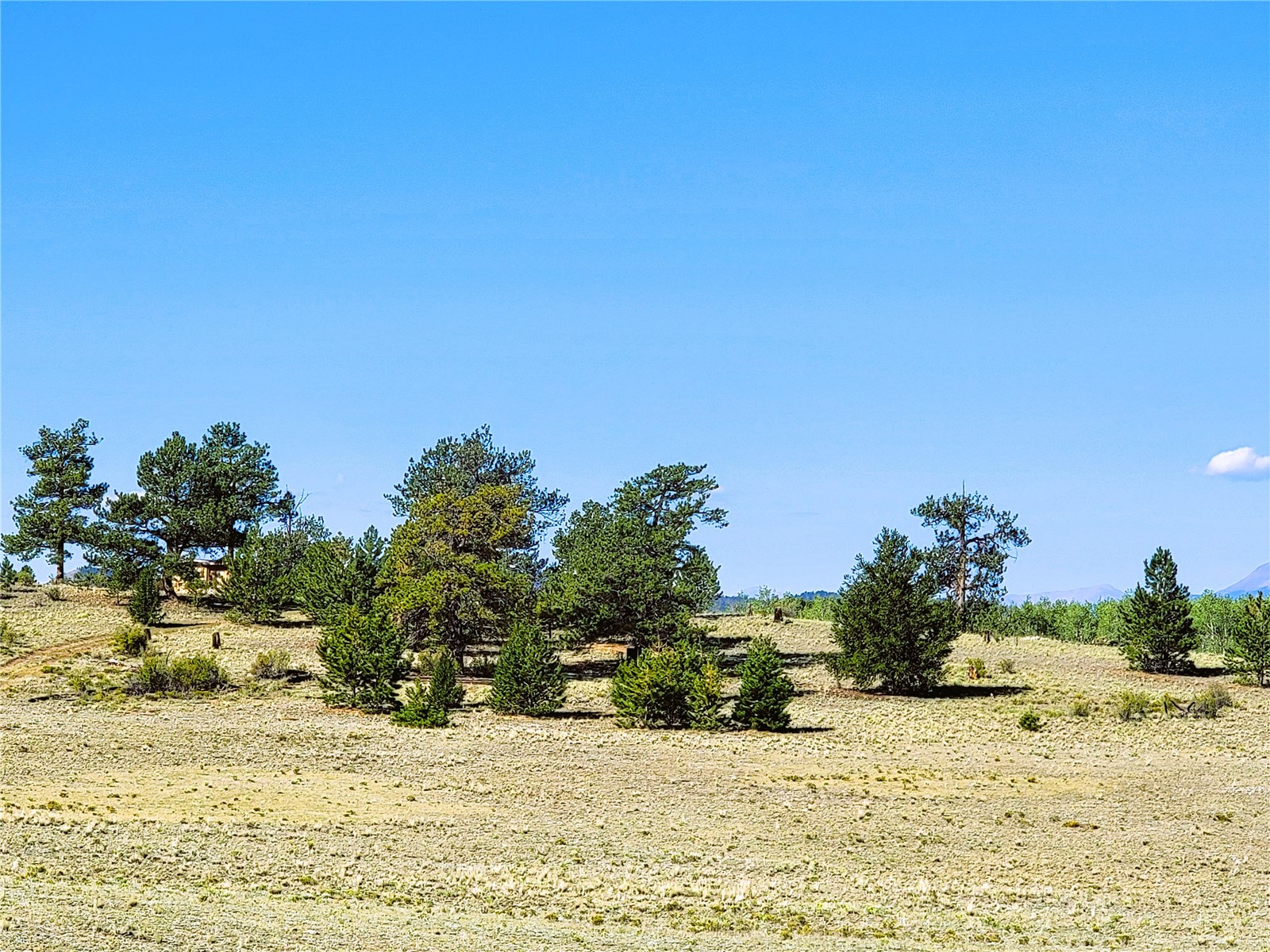 452 Grand Teton Drive Hartsel CO 80449