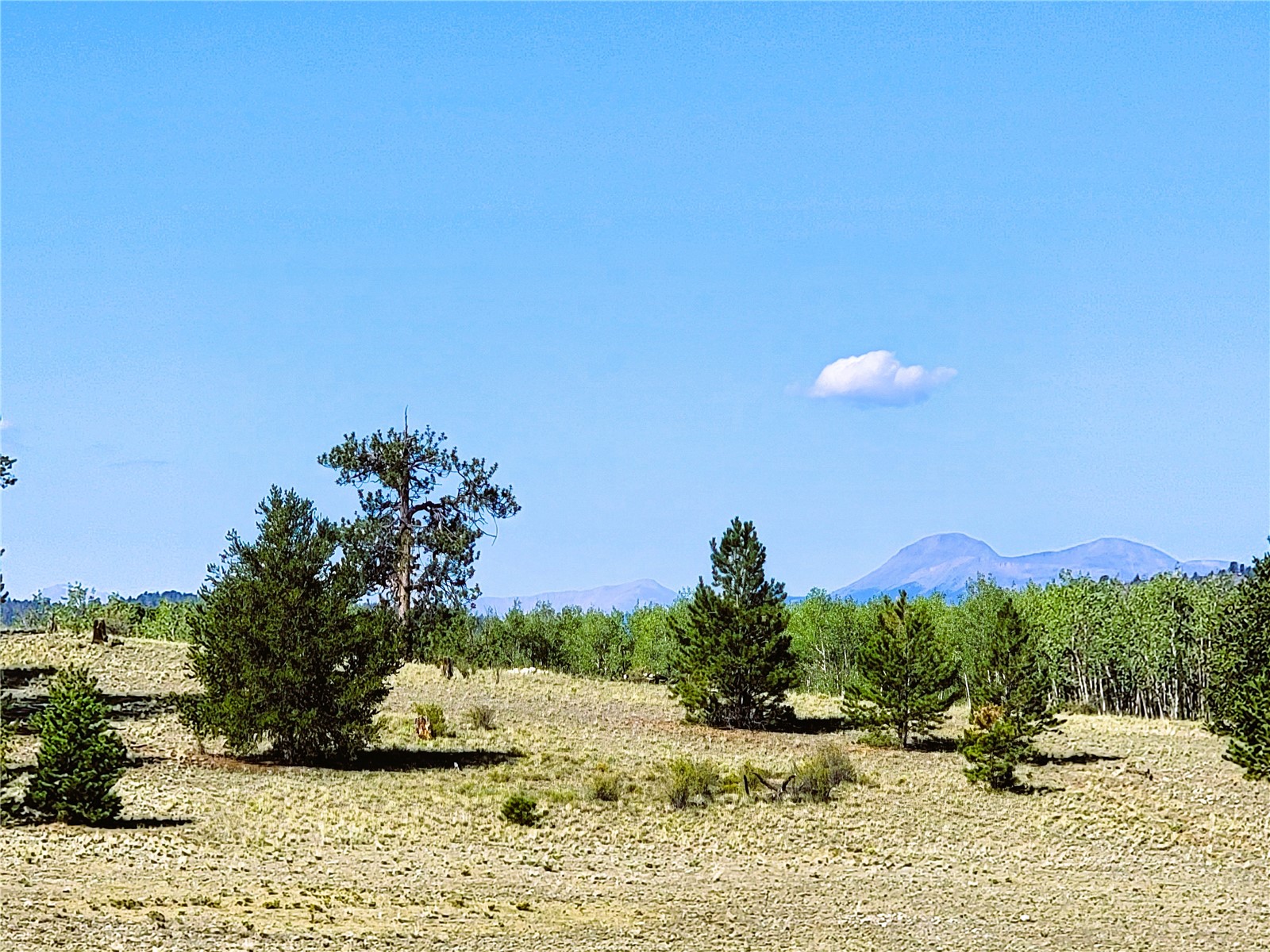 452 Grand Teton Drive Hartsel CO 80449