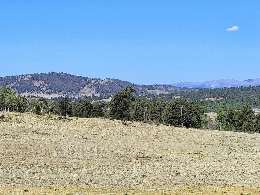 452 Grand Teton Drive Hartsel CO 80449