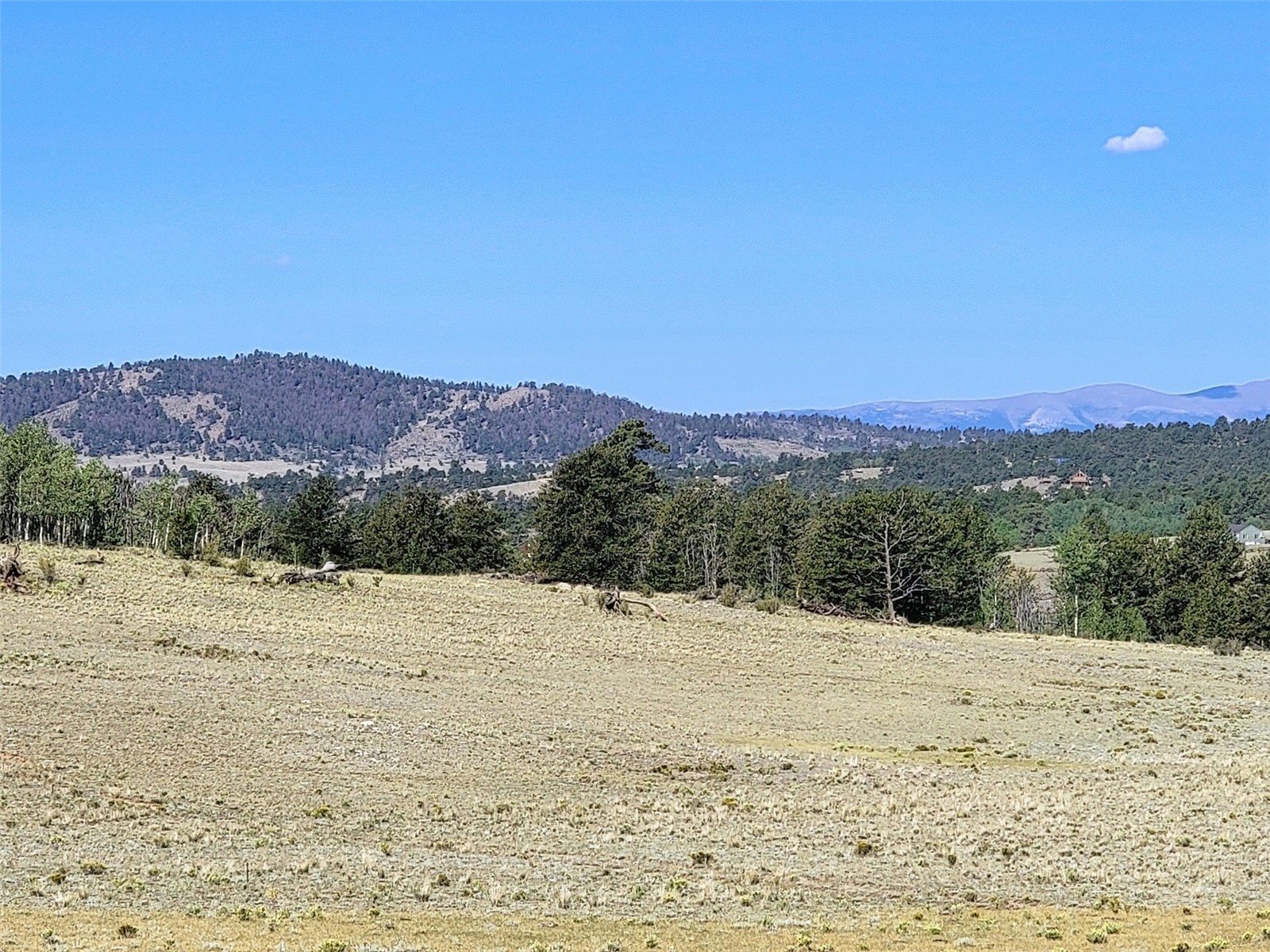 452 Grand Teton Drive Hartsel CO 80449