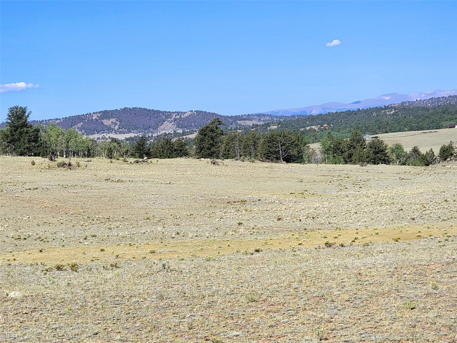 452 Grand Teton Drive Hartsel CO 80449