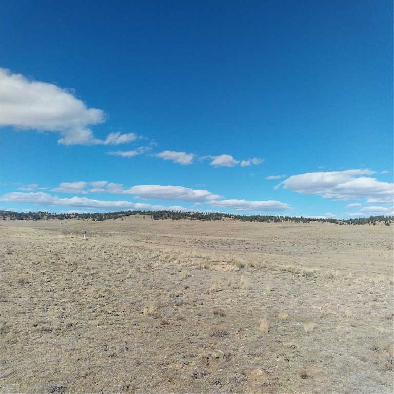 3552 Ute Trace Hartsel CO 80449