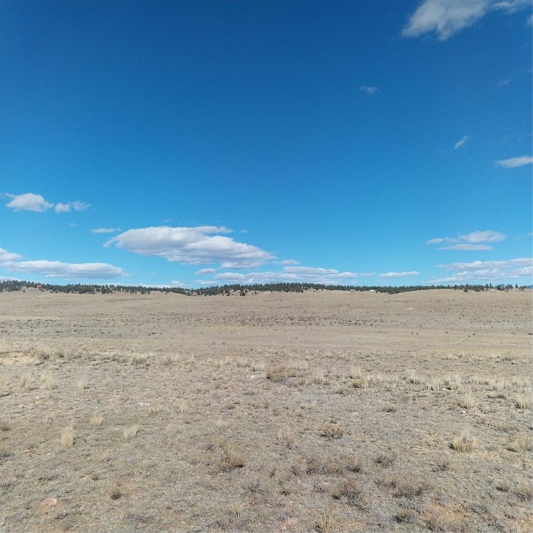 3552 Ute Trace Hartsel CO 80449