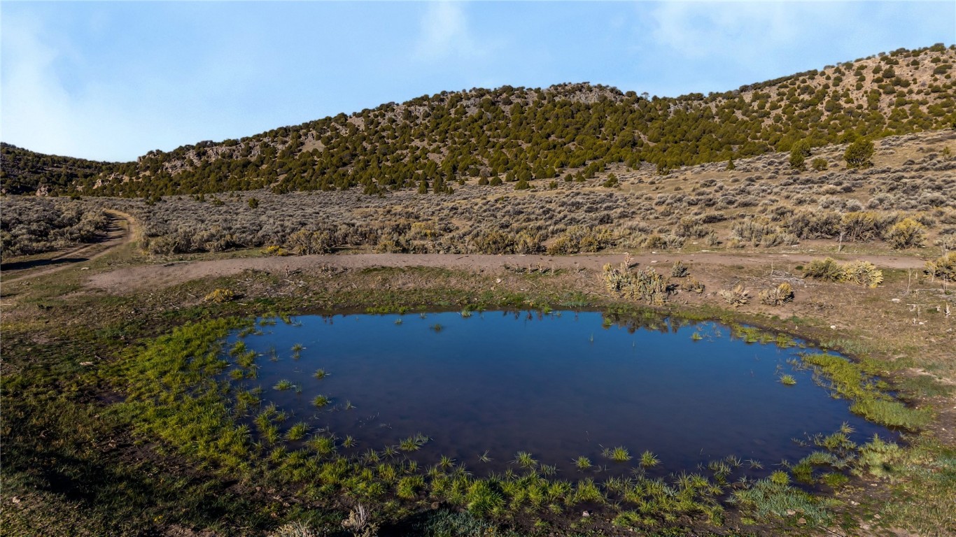 Tbd County Road 53 Maybell CO 81640
