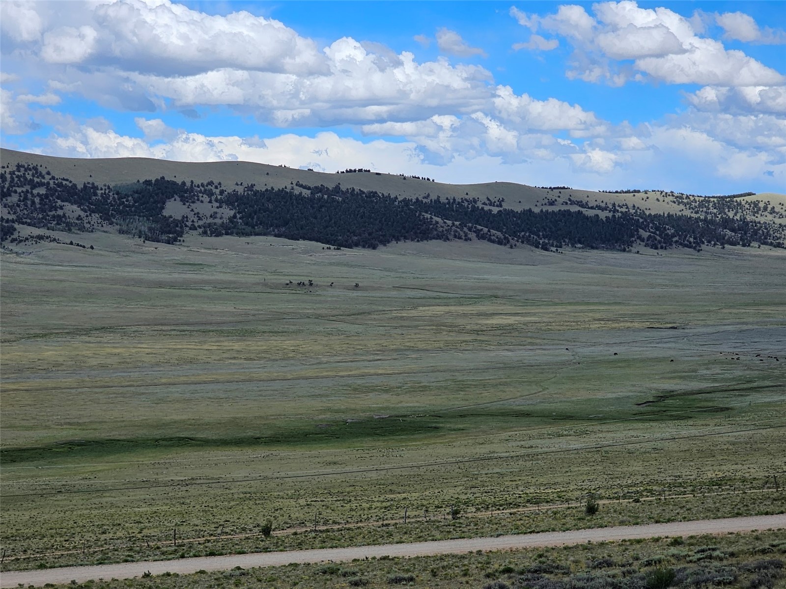 68 Redhill Court Fairplay CO 80440