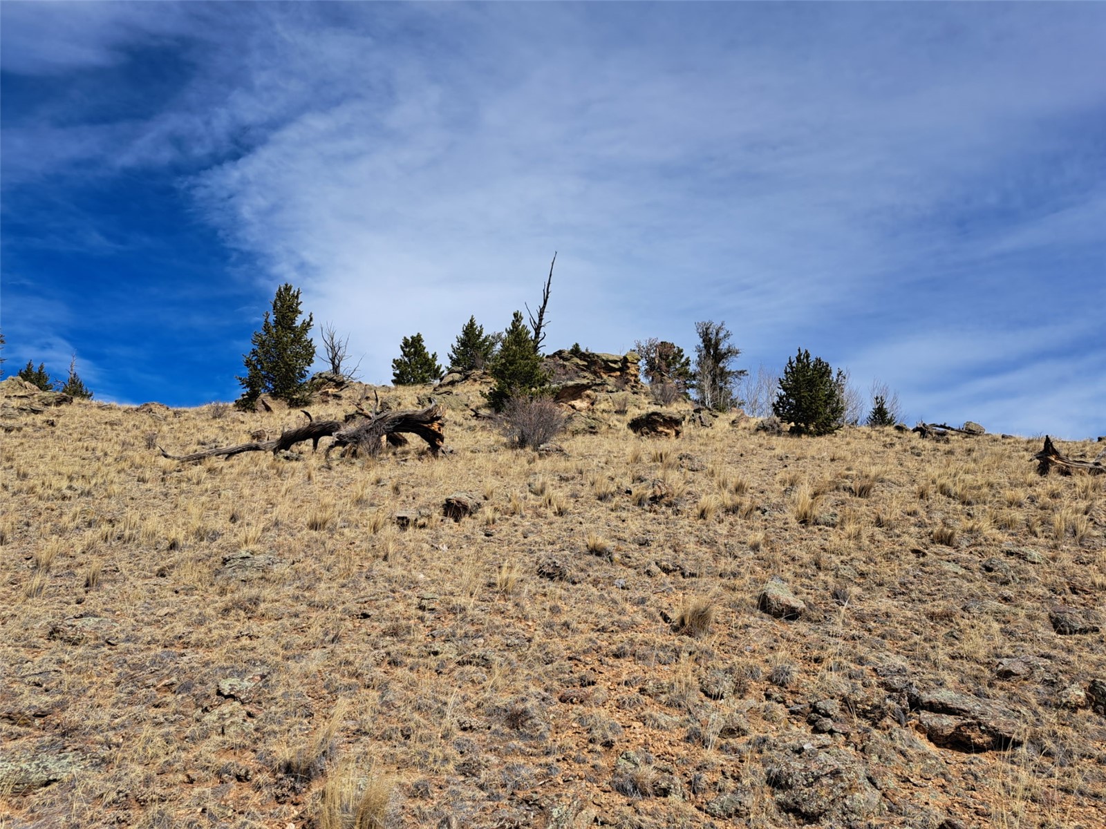 3646 Remington Road Como CO 80432