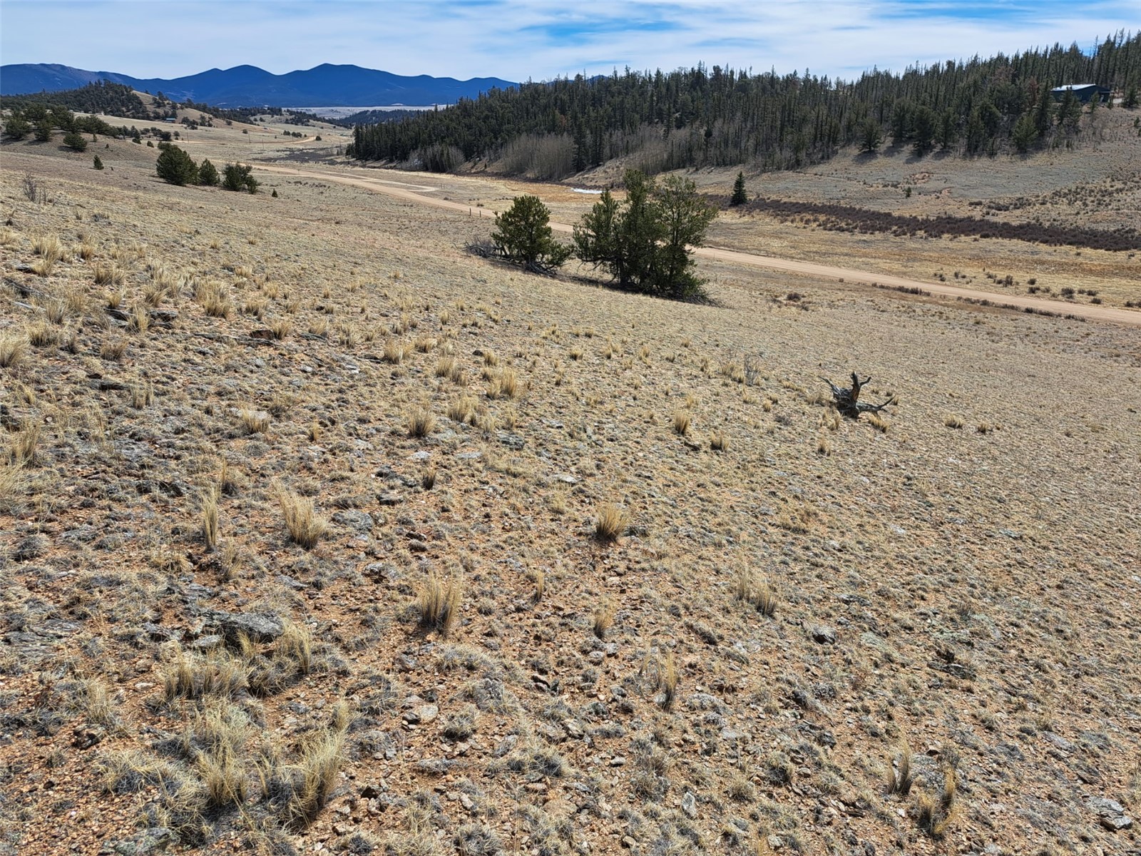 3646 Remington Road Como CO 80432