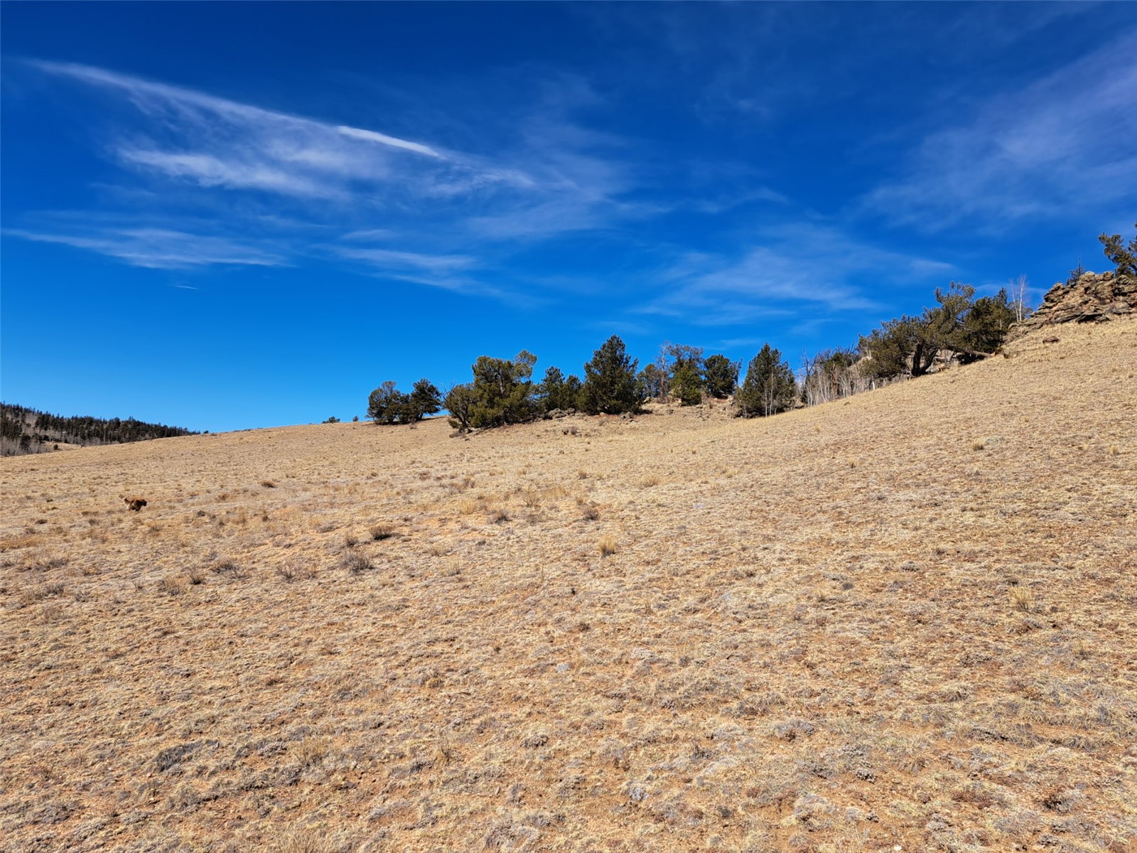 3646 Remington Road Como CO 80432