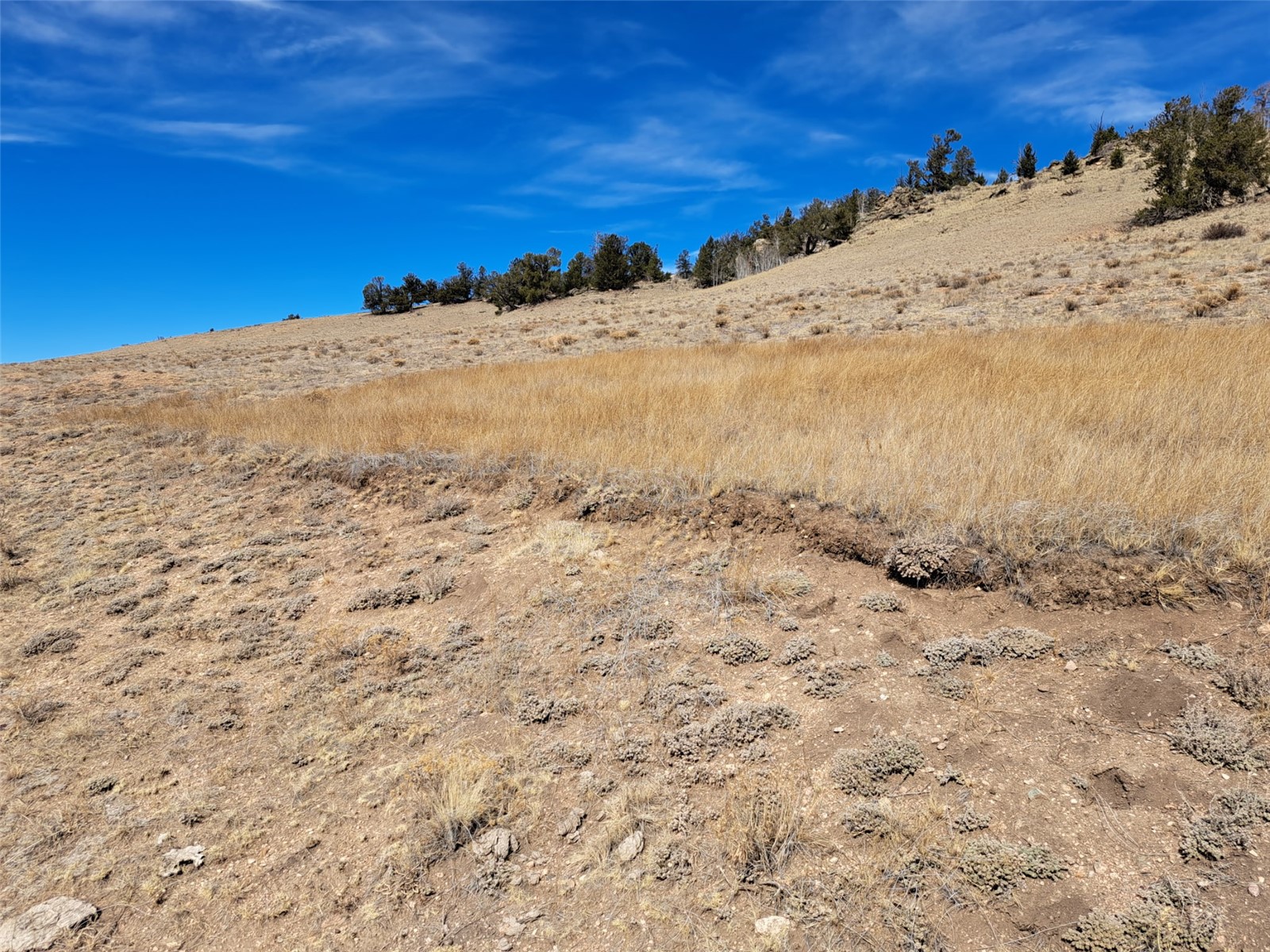 3646 Remington Road Como CO 80432