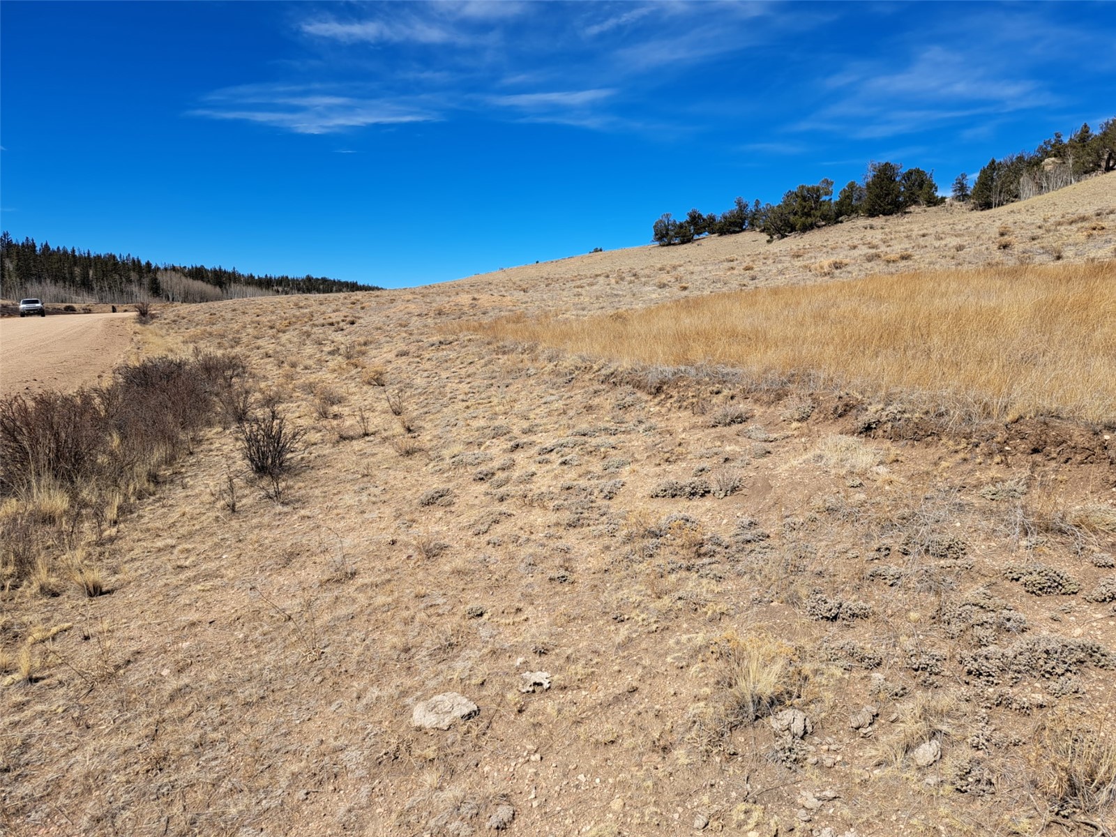 3646 Remington Road Como CO 80432