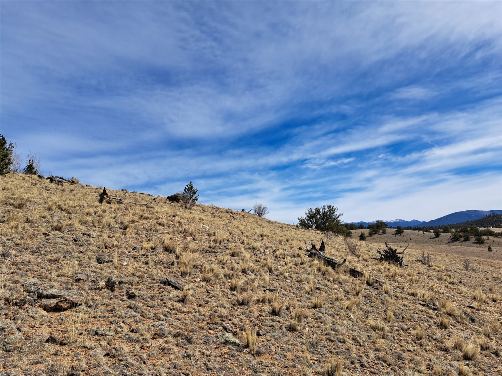 3646 Remington Road Como CO 80432