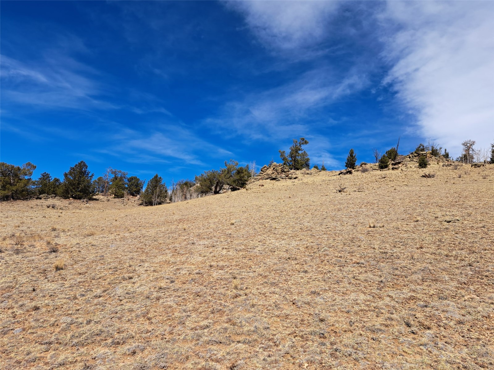 3646 Remington Road Como CO 80432