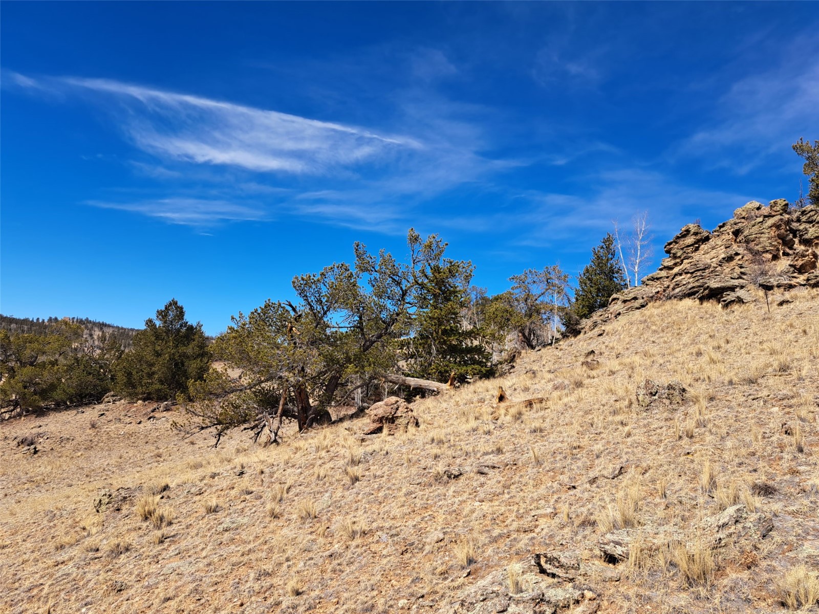 3646 Remington Road Como CO 80432