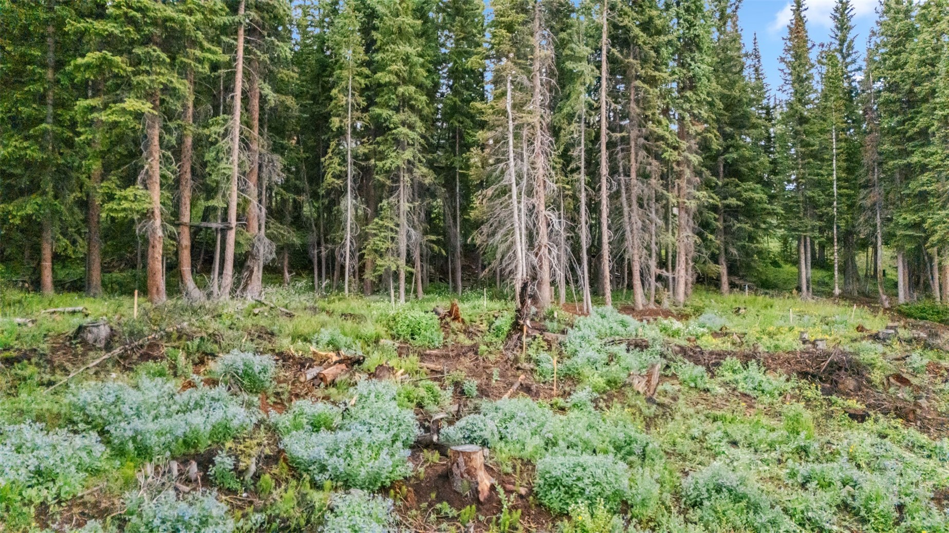 249 Lee Lane Breckenridge CO 80424