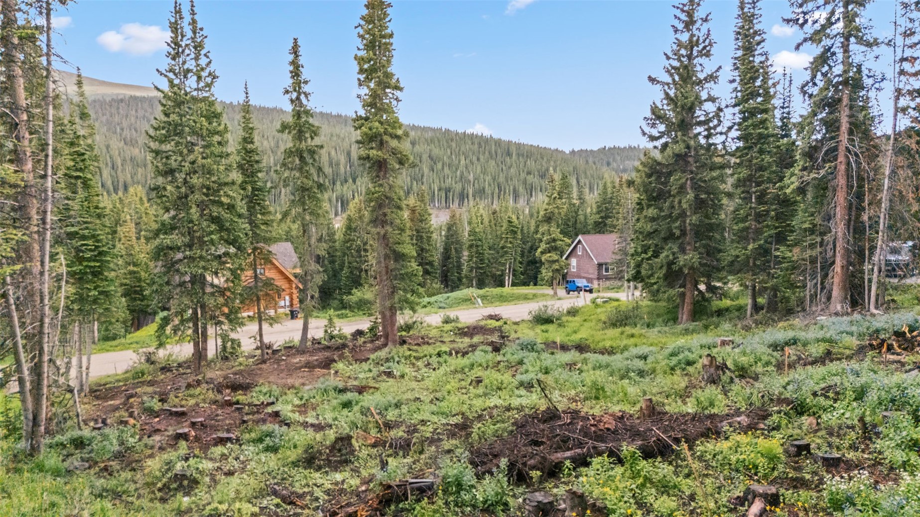 249 Lee Lane Breckenridge CO 80424