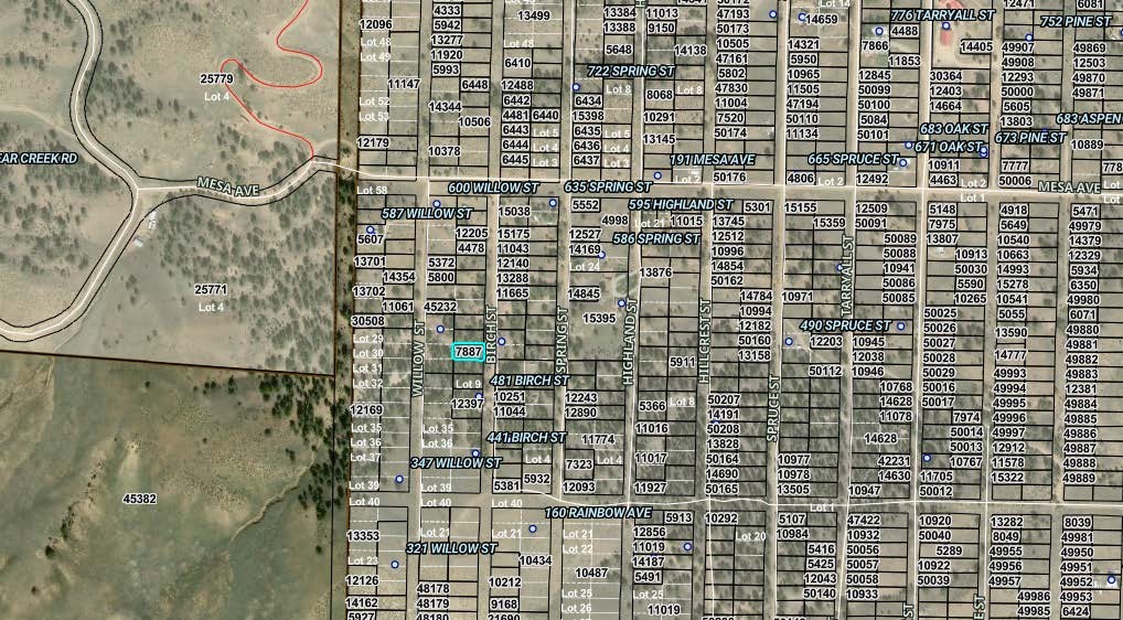 00003 Birch Street Hartsel CO 80449