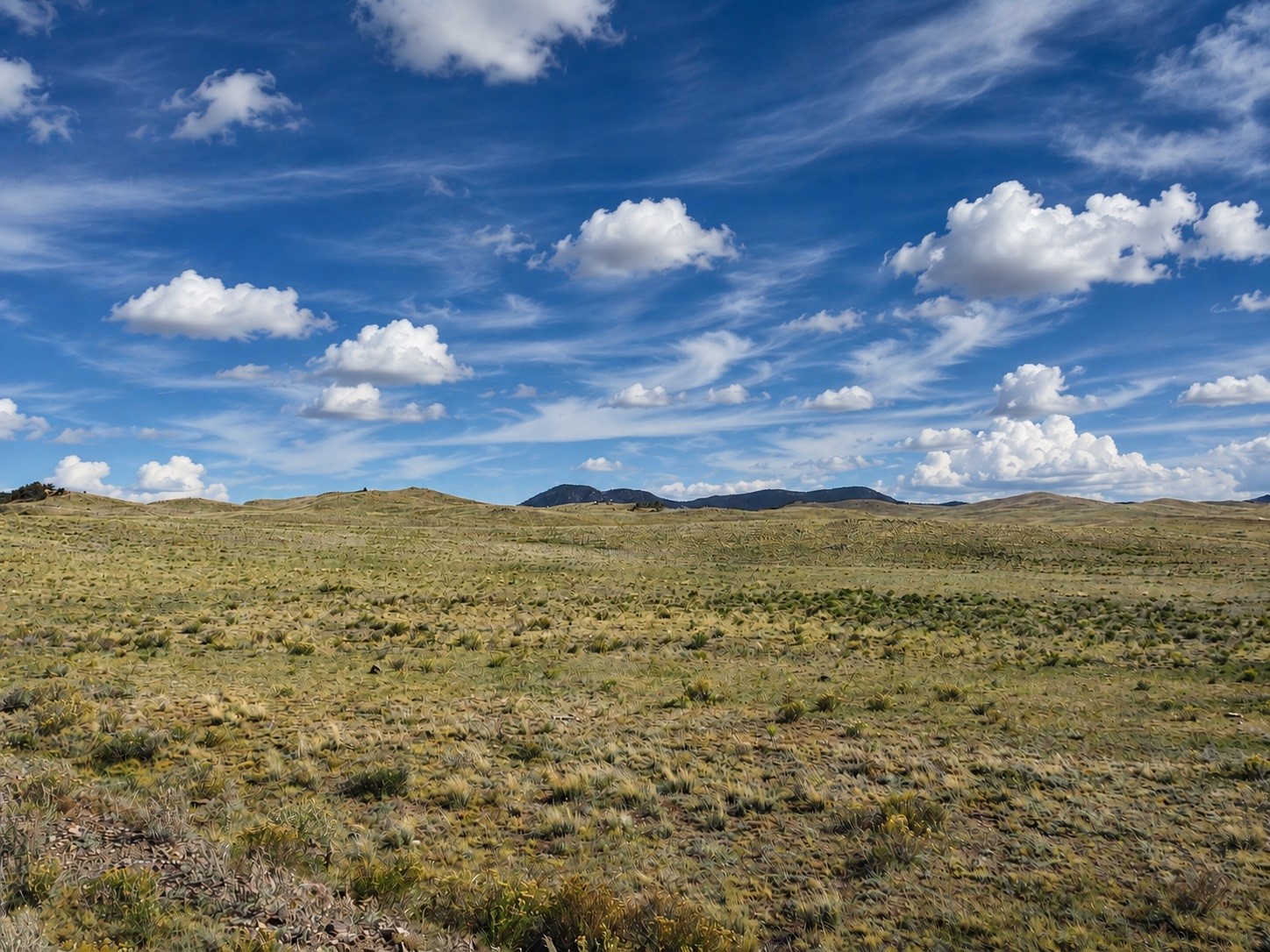 2972 Jumano Trail Hartsel CO 80449