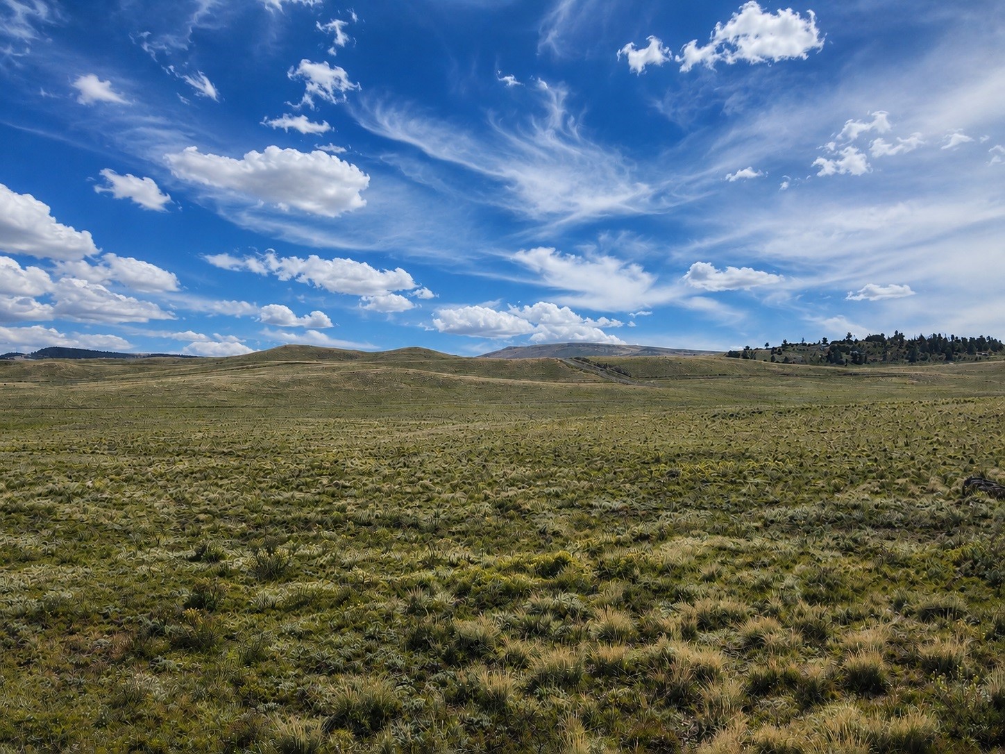 2972 Jumano Trail Hartsel CO 80449