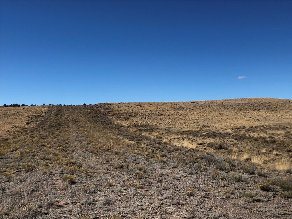 2972 Jumano Trail Hartsel CO 80449