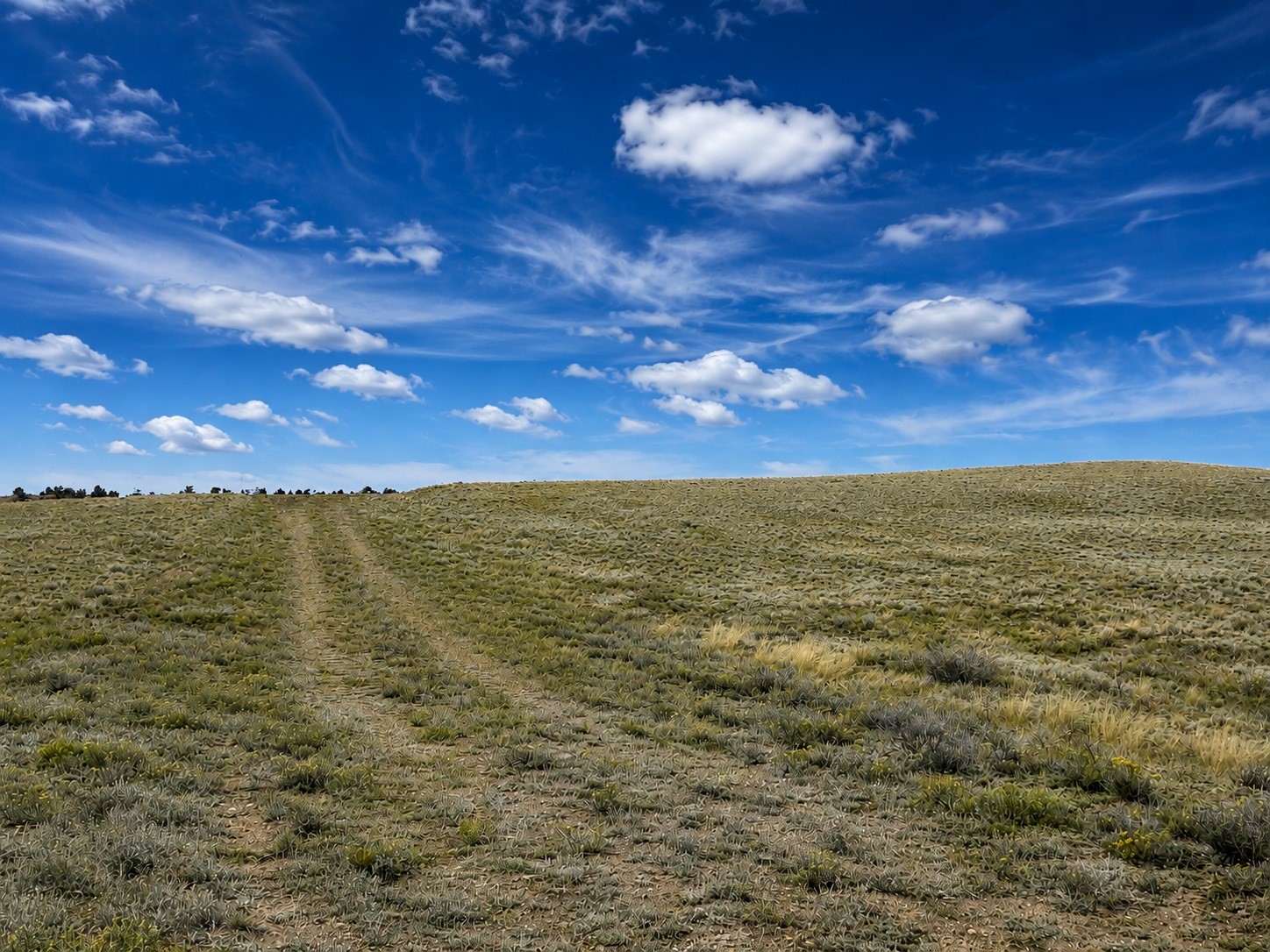 2972 Jumano Trail Hartsel CO 80449