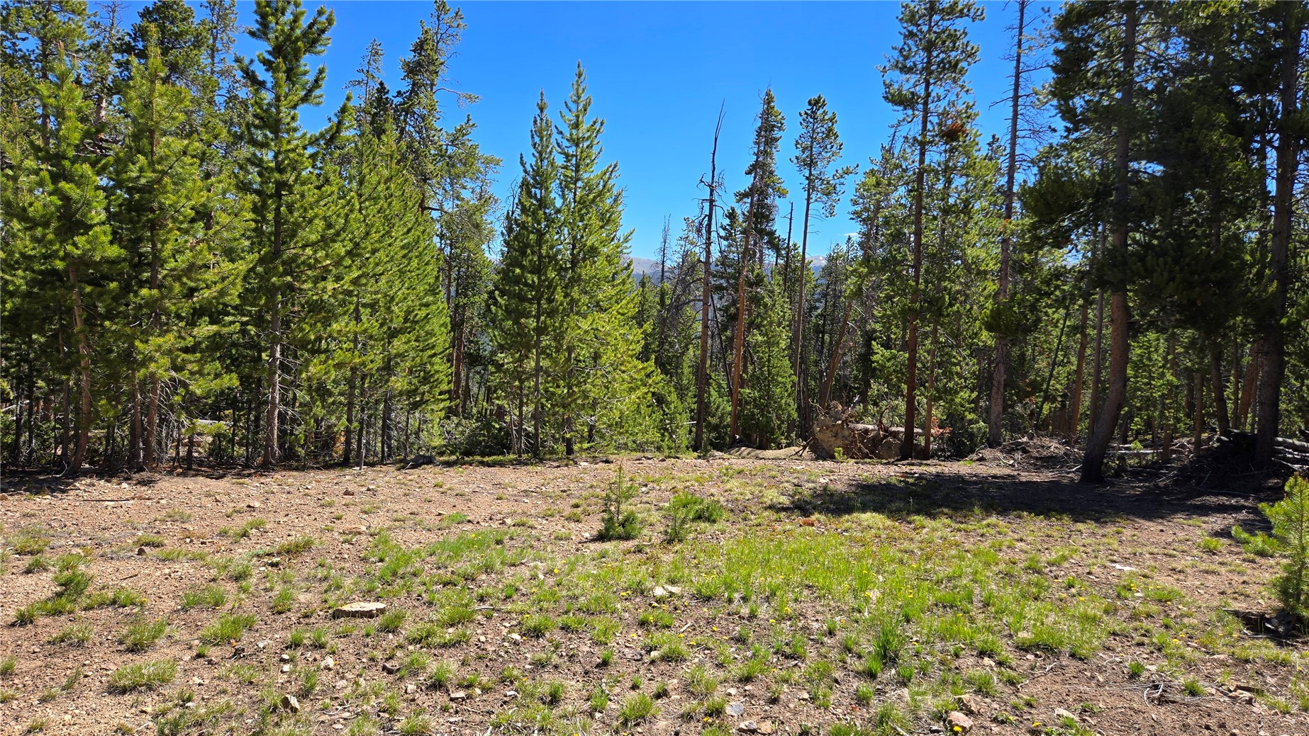 Tbd Summit Gulch Road Breckenridge CO 80424