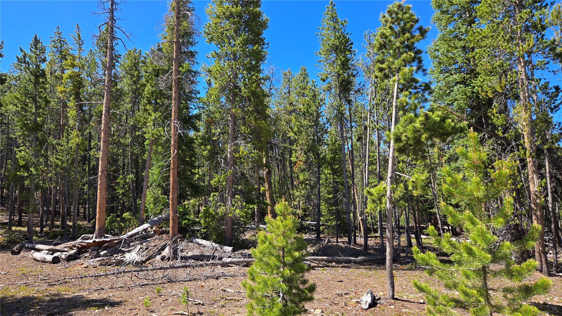 Tbd Summit Gulch Road Breckenridge CO 80424