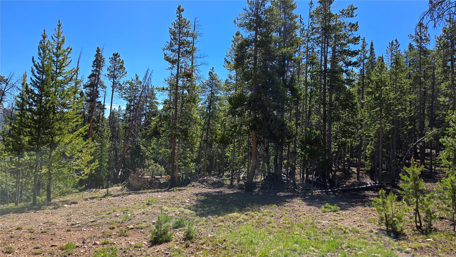 Tbd Summit Gulch Road Breckenridge CO 80424