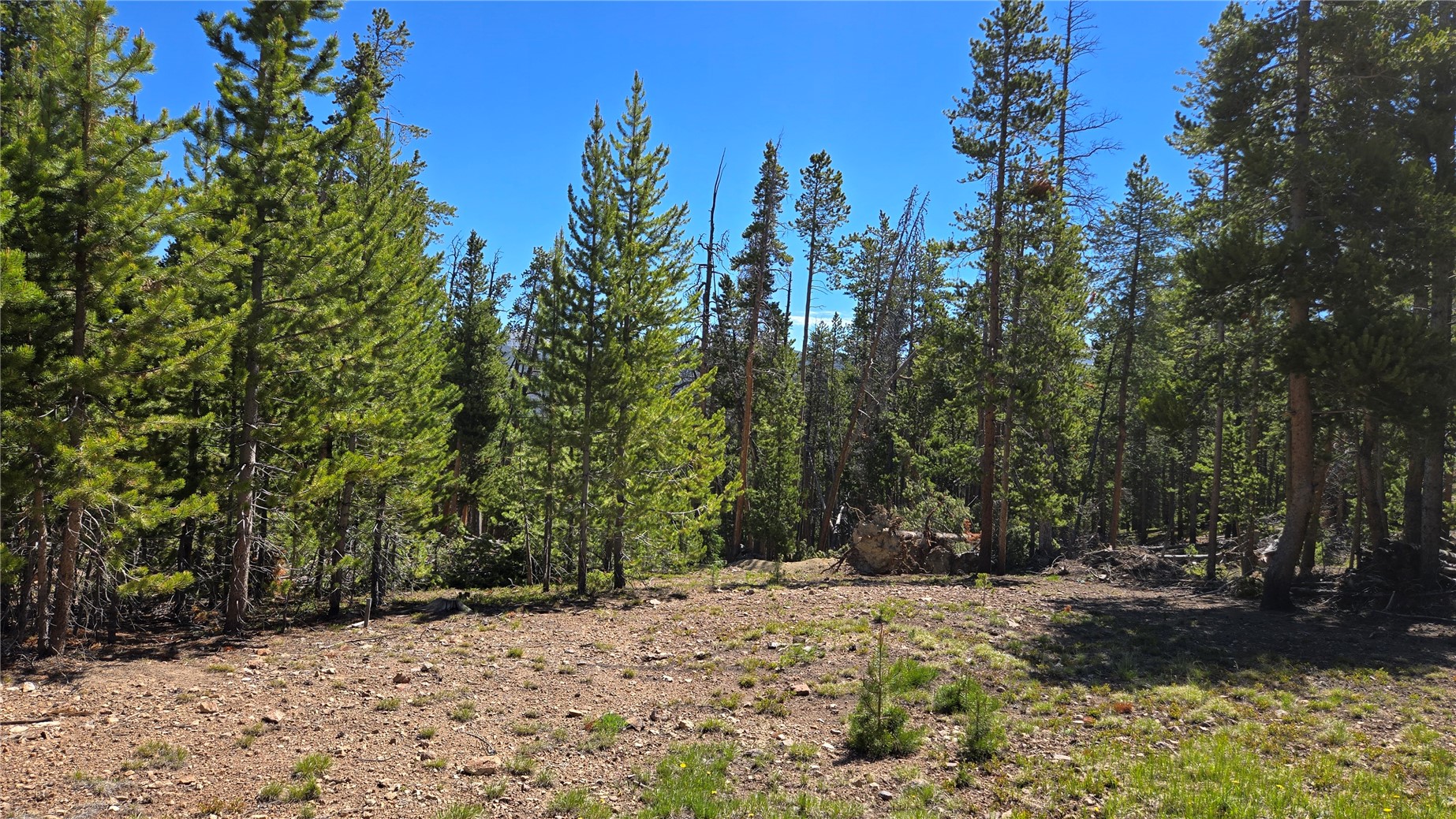 Tbd Summit Gulch Road Breckenridge CO 80424