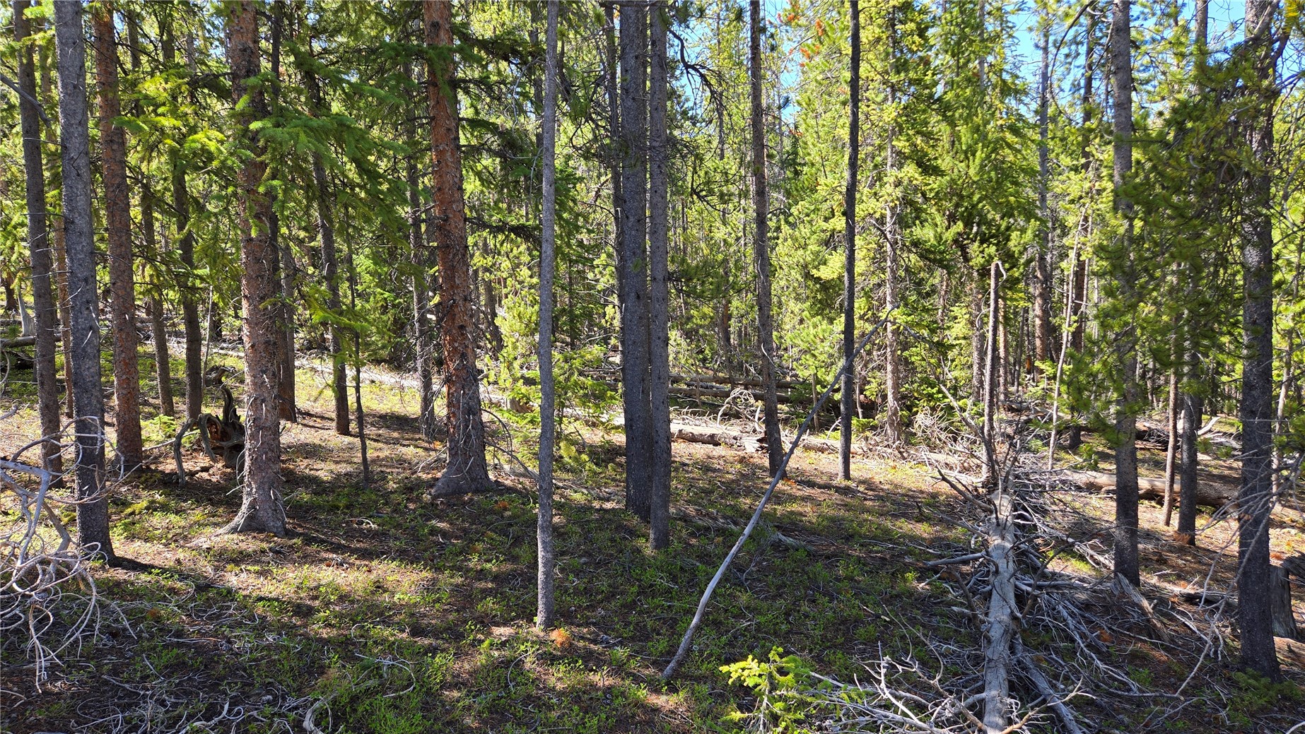 Tbd Summit Gulch Road Breckenridge CO 80424