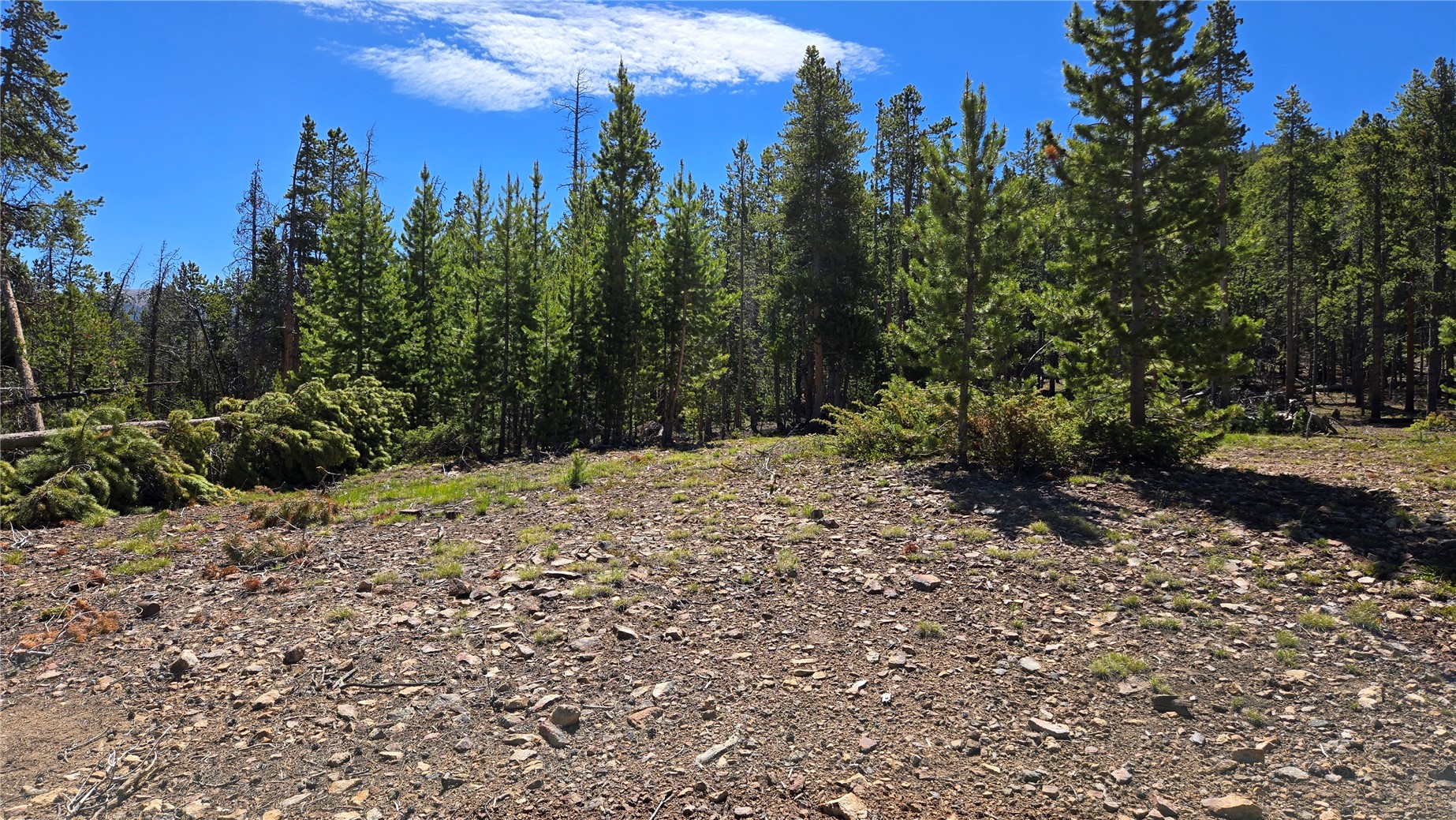 Tbd Summit Gulch Road Breckenridge CO 80424