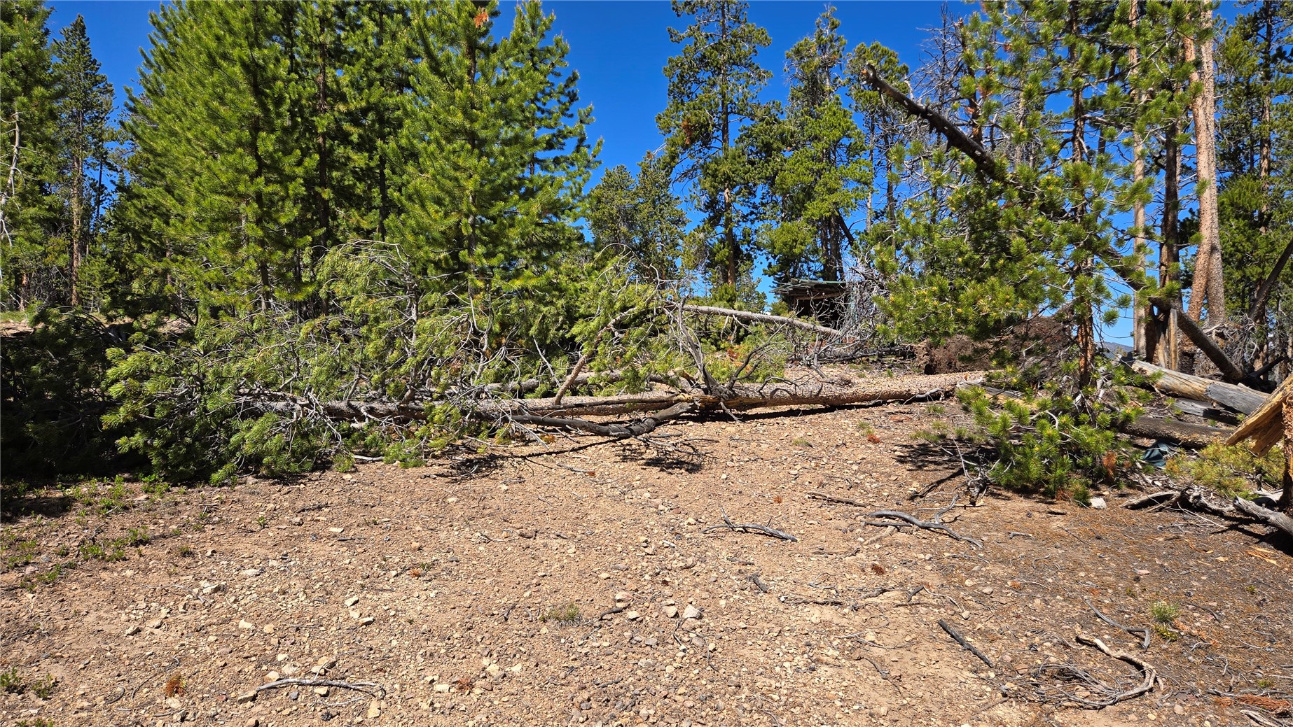 Tbd Summit Gulch Road Breckenridge CO 80424