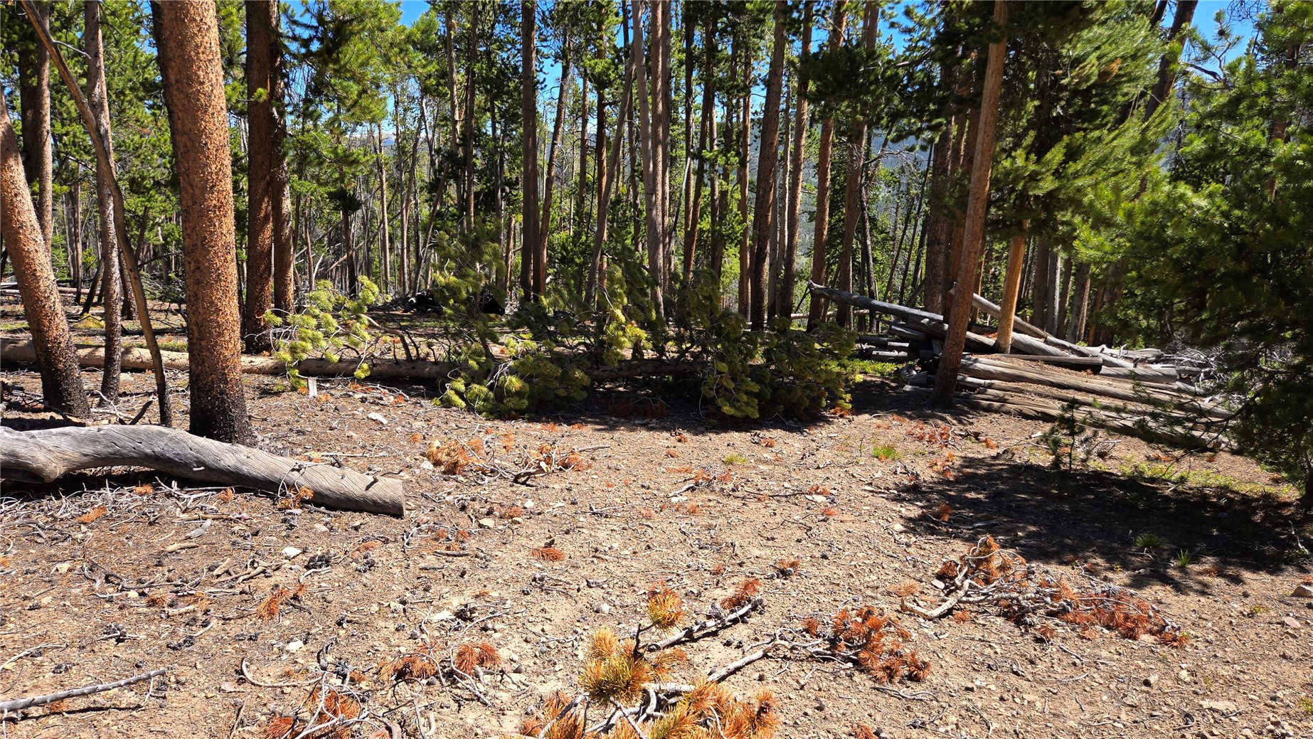 Tbd Summit Gulch Road Breckenridge CO 80424